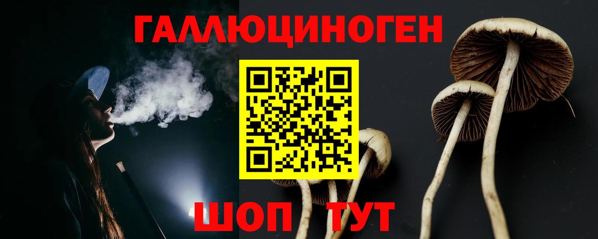 Галлюциногенные грибы Psilocybine cubensis  купить наркотик  Вход с VPN  Удомля  Галлюциногенные грибы GOLDEN TEACHER 